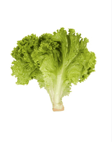 Screenshot 2026 01 18 at 12.47.23 PM